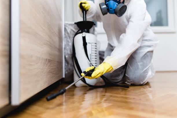 Best Best Pest Control Companies  in Petersburg, MI