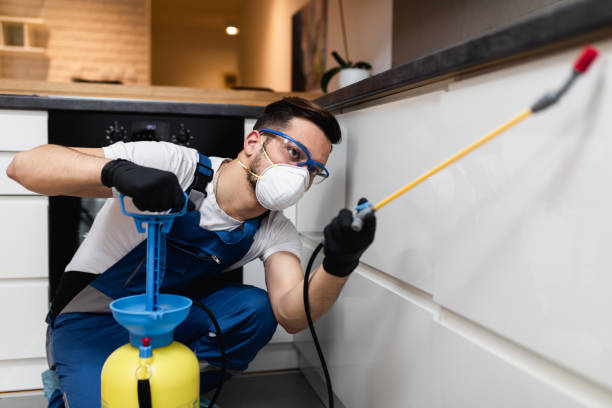 Best Pest Inspection Near Me  in Petersburg, MI