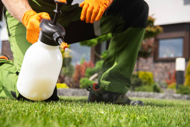 Best Bed Bug Extermination  in Petersburg, MI