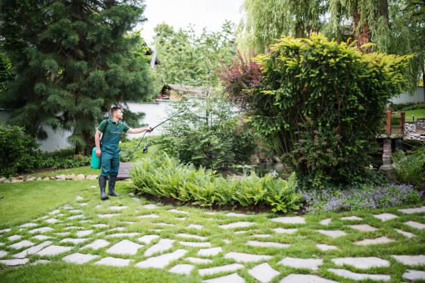 Best Mosquito Control Services  in Petersburg, MI