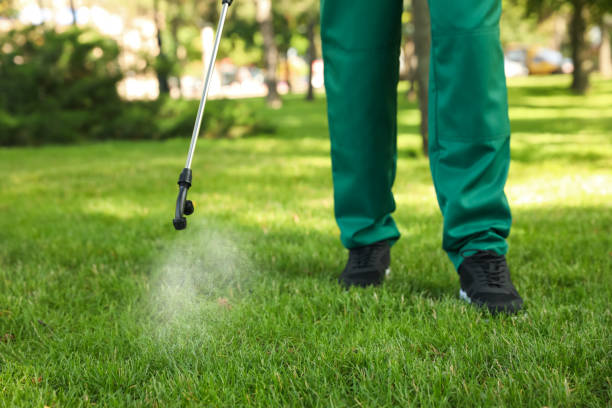 Best Flea Control Services  in Petersburg, MI
