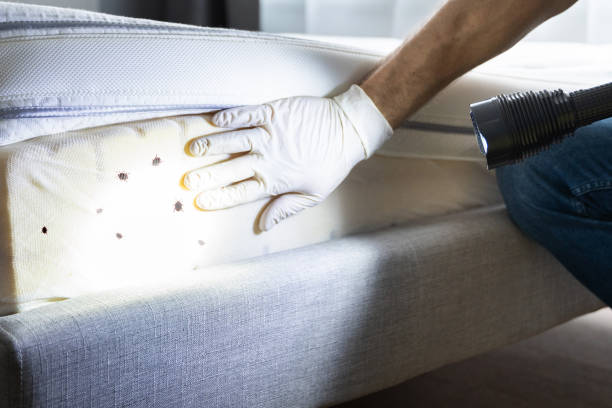  Petersburg, MI Pest Control Pros