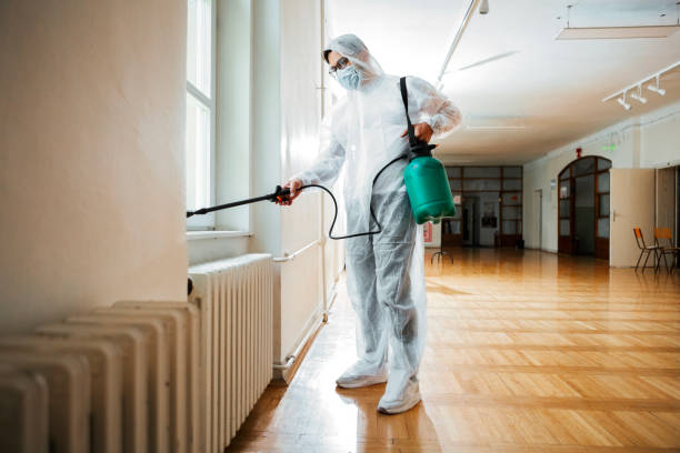 Best Wasp Removal Services  in Petersburg, MI