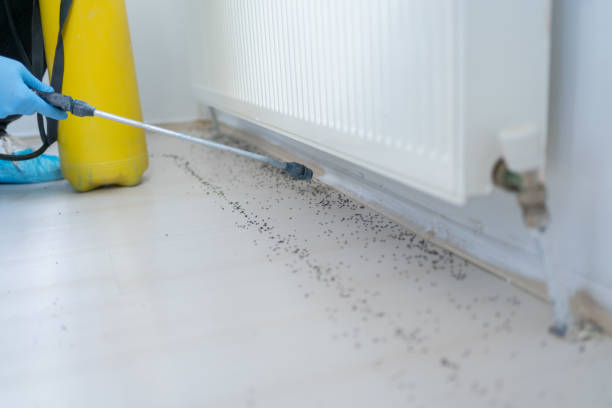 Best Pest Control for Restaurants  in Petersburg, MI