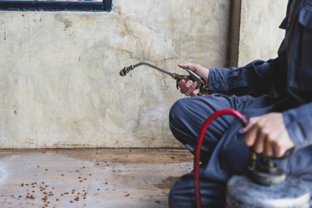 Best Affordable Pest Control Services  in Petersburg, MI